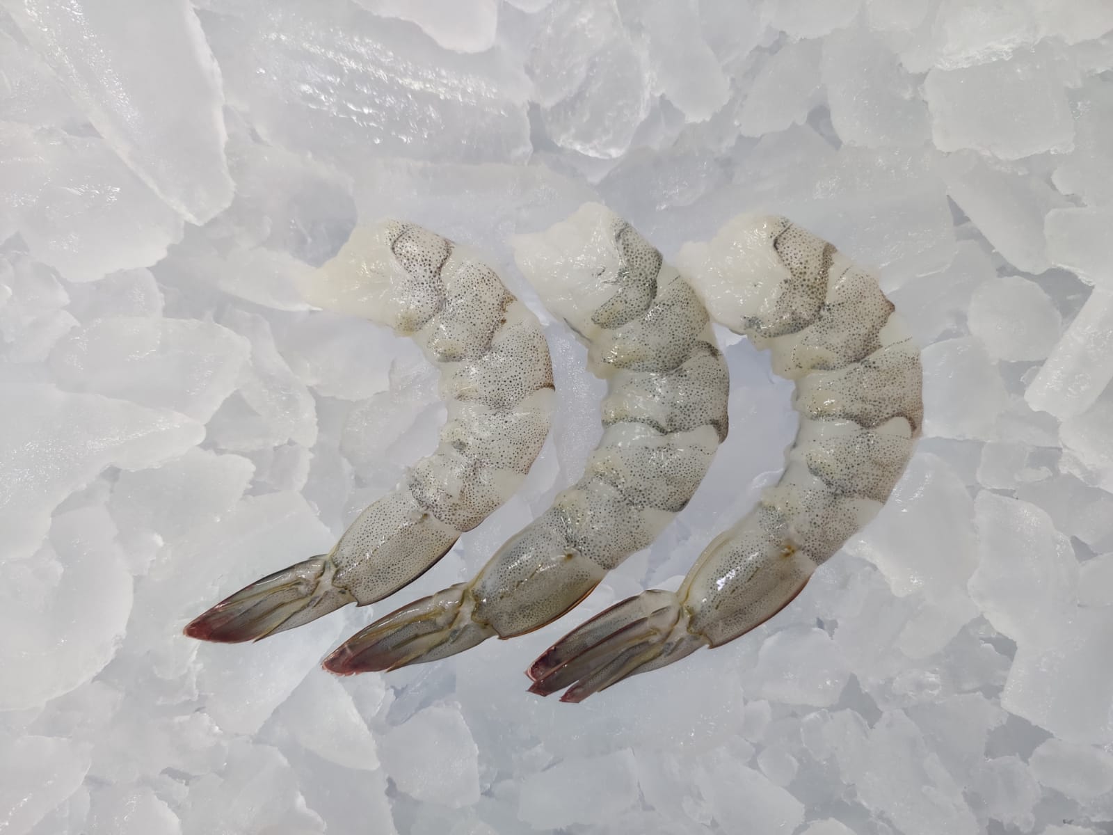 VANNAMEI PEELED & DEVEINED TAIL ON SHRIMPS